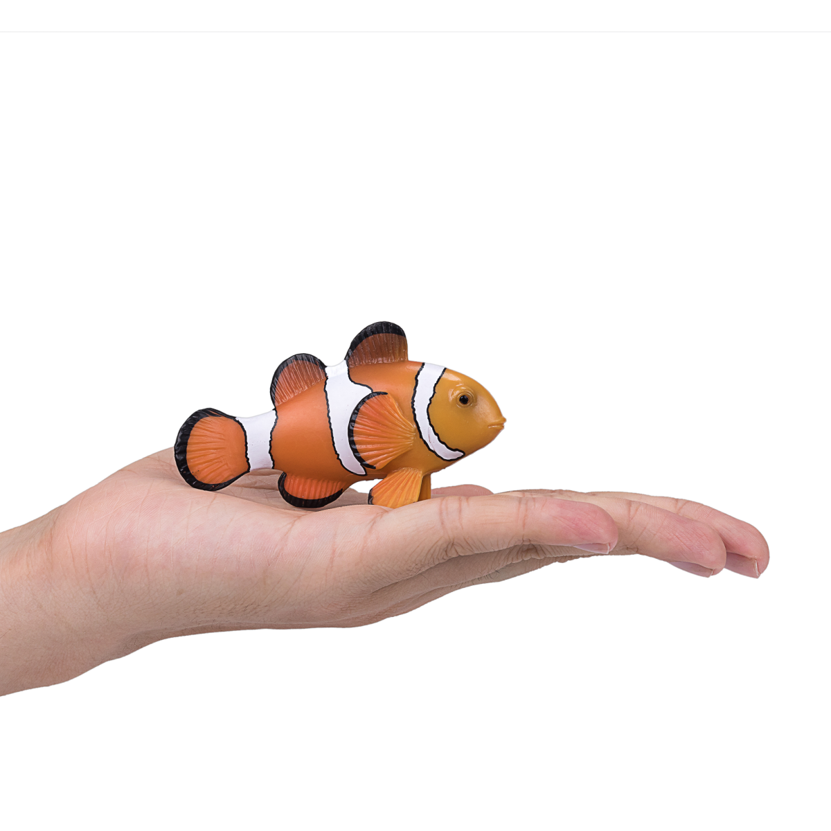 Clown Fish Toy Realistic Ocean Animal Model