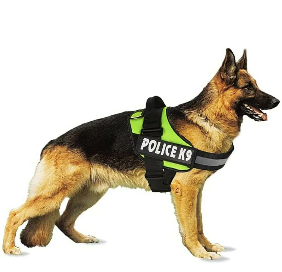 Police K9 Dog Harness Multi Colours Dog Harness Medium Assorted Colours